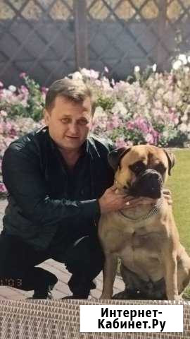 Дрессировка и коррекция поведения всех пород собак Волгоград - изображение 1
