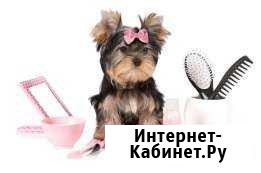 Стрижка собак и кошек Смоленск - изображение 1