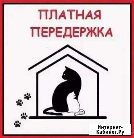 Передержка/Гостиница/Няня для животных Канск - изображение 1