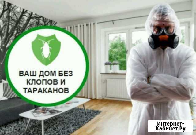 Уничтожение Клопов, тараканов, блох и тд Хабаровск - изображение 1