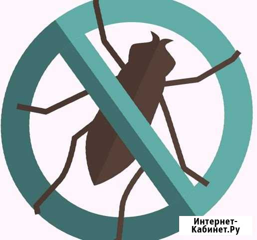 Уничтожение насекомых плесени грызунов запахов Волгоград - изображение 1