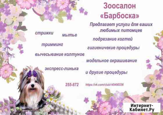 Стрижка собак и кошек Сыктывкар Сыктывкар