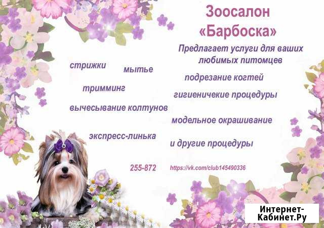 Стрижка собак и кошек Сыктывкар Сыктывкар - изображение 1