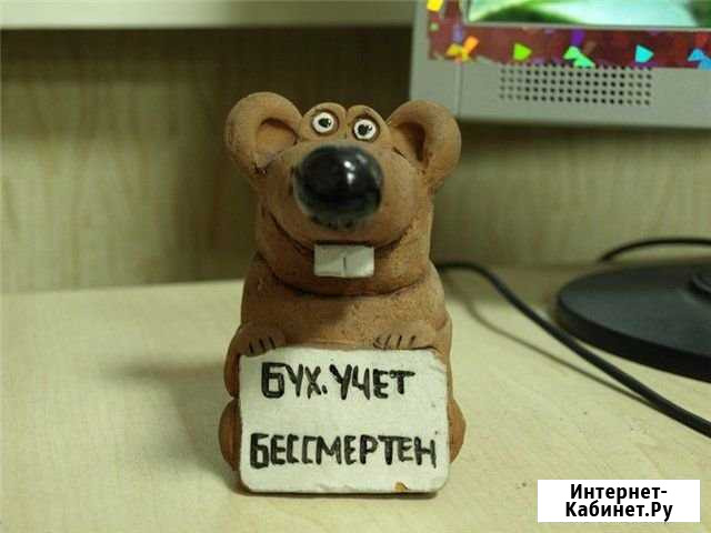 Бухгалтерский и налоговый учет, сдача отчетности Липецк - изображение 1