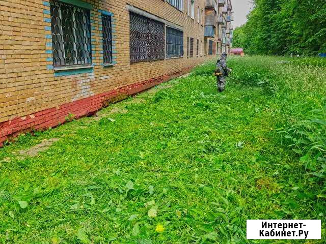 Вывоз мусора,расчистка участков,покос травы,спил д Ставрополь - изображение 1