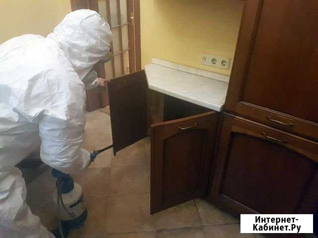 Сэс Уничтожения клещей тараканов сэс Барнаул - изображение 1