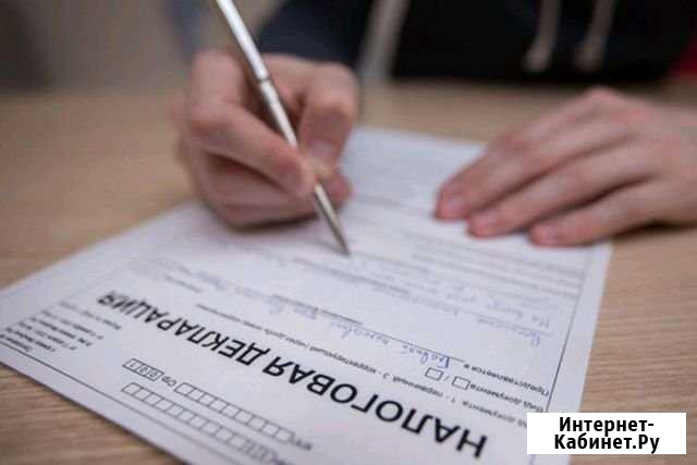 Декларации Красный Яр - изображение 1