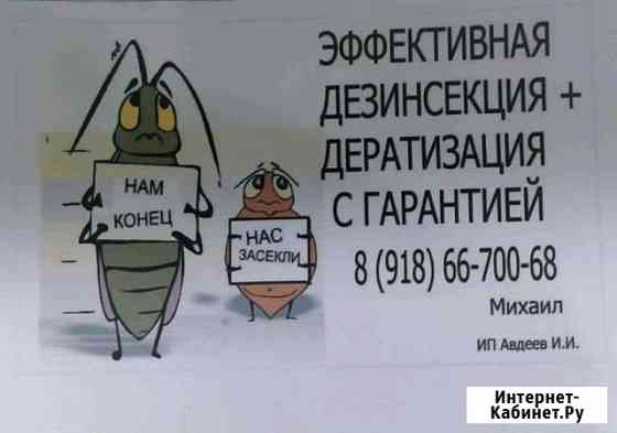 Дезинфекция Новороссийск