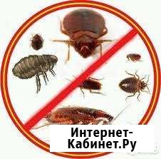 Избавим от тараканов и клопов 100гарантия Лобня - изображение 1