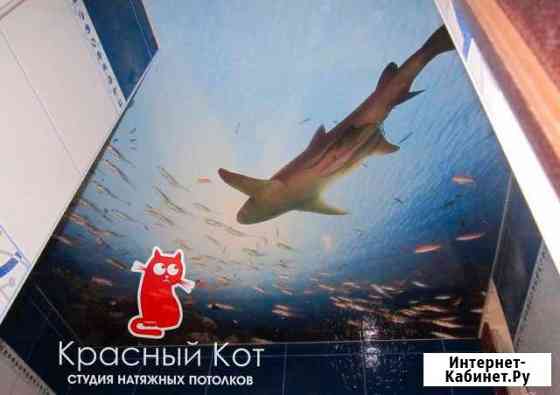 Натяжной потолок с фотопечатью Шахты
