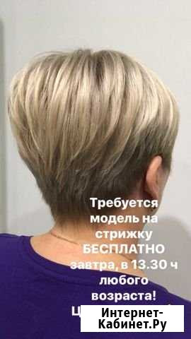 Стрижка бесплатно Ярославль - изображение 1