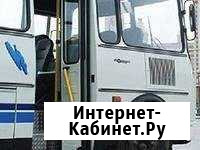Реклама на маршрутных автобусах паз Архангельск - изображение 1
