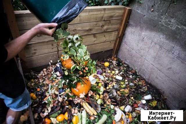 Вывоз мусора и утилизация пищевых отходов Люберцы - изображение 1