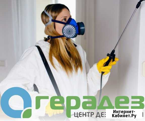 Уничтожение клопов, тараканов в квартире. Оренбург Оренбург - изображение 1