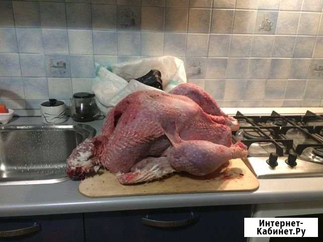 Мясо домашней индюшки Волгоград - изображение 1