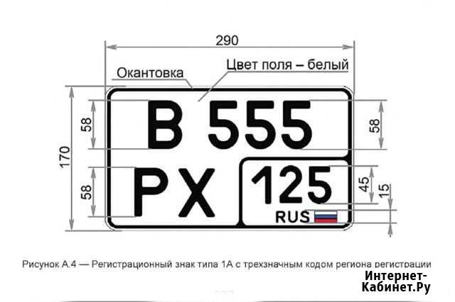 Изготовление дубликат Гос номера нового образца Петропавловск-Камчатский - изображение 1