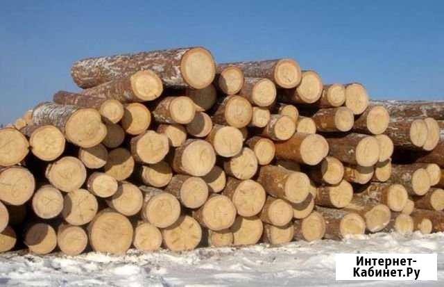 Заготовлю лес Сыктывкар - изображение 1