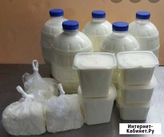 Домашнее коровье молоко, творог, сметана Староминская - изображение 1