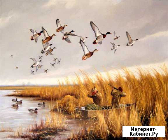 Охота и рыбалка Приморско-Ахтарск - изображение 1