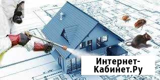 Уничтожение любых насекомых и грызунов Геленджик - изображение 1