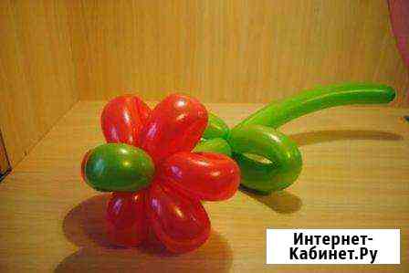 Цветы из воздушных шаров Нижневартовск