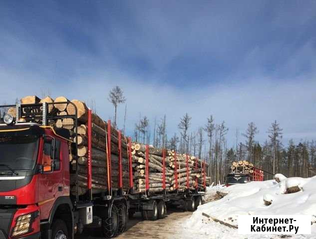 Услуги лесовоза Санкт-Петербург - изображение 1