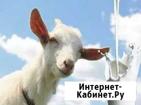 Молоко Дивногорск - изображение 1
