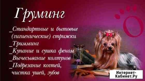 Стрижка собак и кошек в Темрюке Темрюк