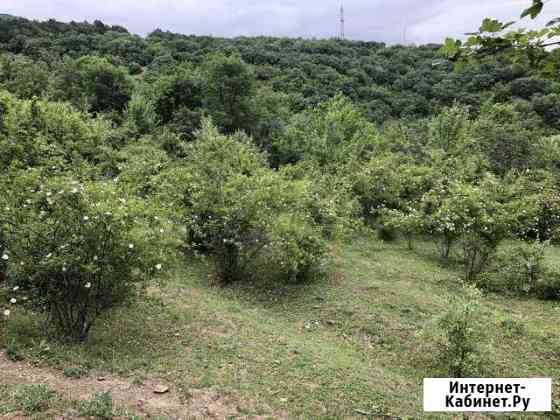 Участок СНТ, ДНП 12 сот. на продажу в Алуште Алушта