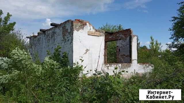 Участок СНТ, ДНП 17 сот. на продажу в Бийске Бийск - изображение 1