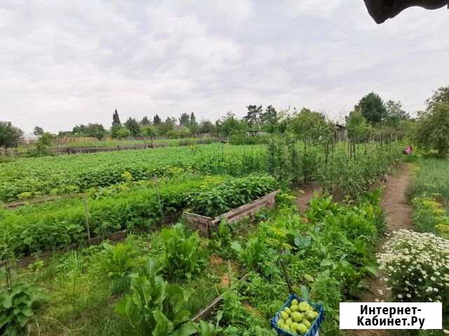 Дача 36 м² на участке 12 сот. на продажу в Абакане Абакан - изображение 1