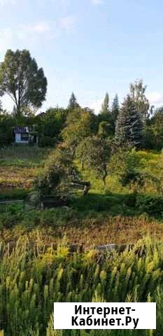 Дача 20 м² на участке 6 сот. на продажу в Супонево Супонево - изображение 1
