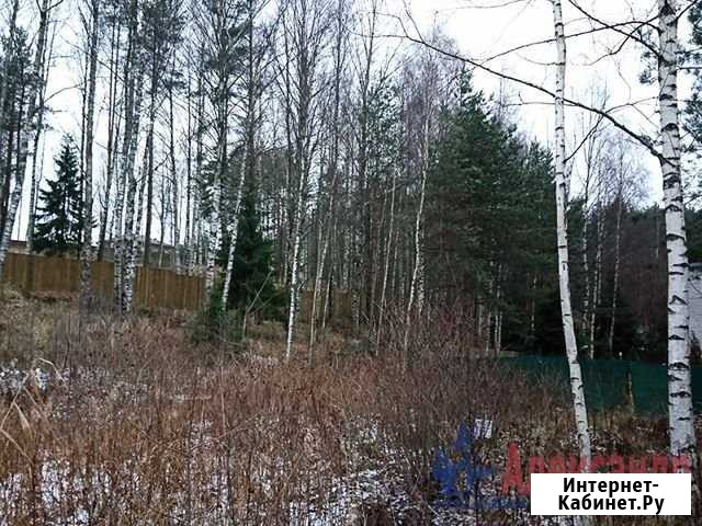 Участок СНТ, ДНП 14 сот. на продажу в Сестрорецке Сестрорецк - изображение 1