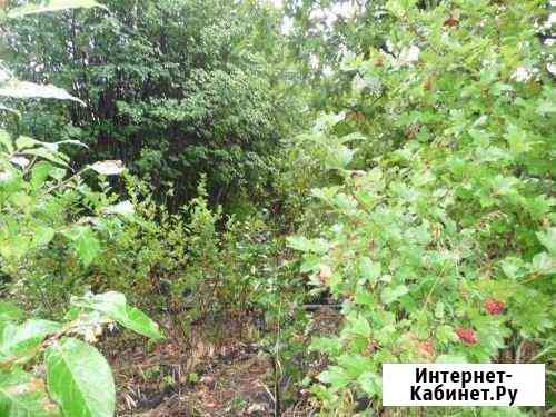 Участок СНТ, ДНП 10 сот. на продажу в Новосибирске Новосибирск