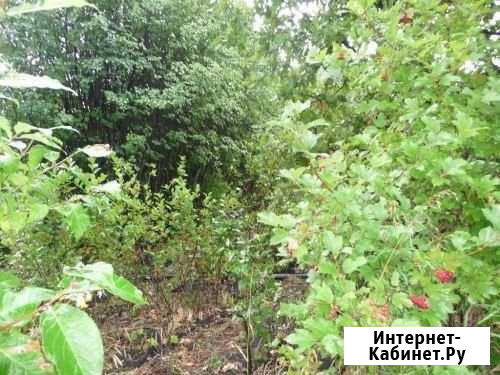 Участок СНТ, ДНП 10 сот. на продажу в Новосибирске Новосибирск - изображение 1