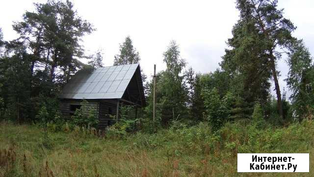 Участок СНТ, ДНП 10 сот. на продажу в Усть-Лугах Усть-Луга - изображение 1