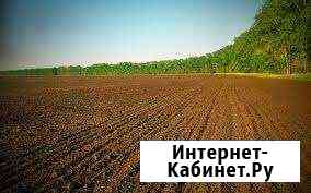 Участок СНТ, ДНП 3800 сот. на продажу в Похвистнево Похвистнево