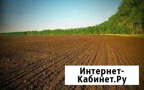 Участок СНТ, ДНП 3800 сот. на продажу в Похвистнево Похвистнево - изображение 1