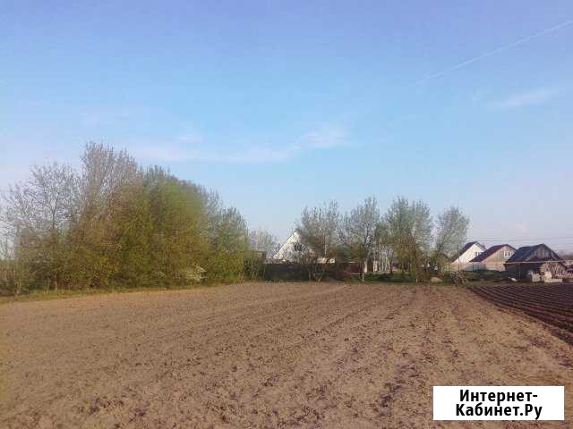 Участок ИЖС 25 сот. на продажу в Выгоничах Выгоничи - изображение 1