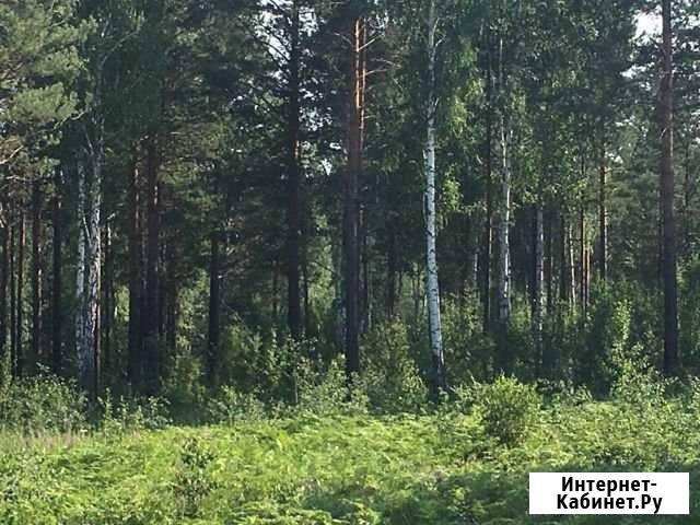 Участок ИЖС 30 сот. на продажу в Маркове Маркова - изображение 1
