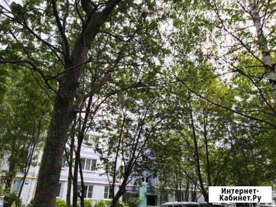 2-комнатная квартира, 56 м², 5/9 эт. на продажу в Рязани Рязань
