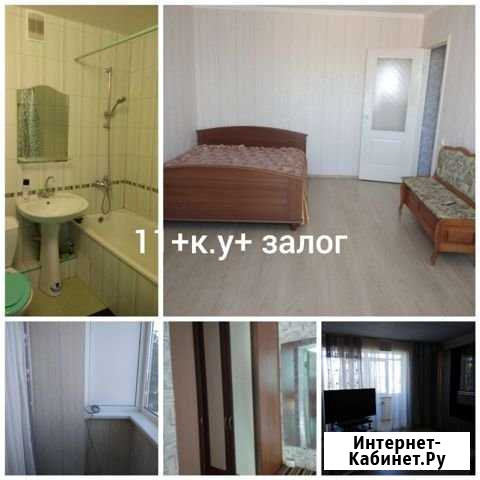 1-комнатная квартира, 33 м², 3/5 эт. в аренду на длительный срок в Яблоновском Яблоновский - изображение 1