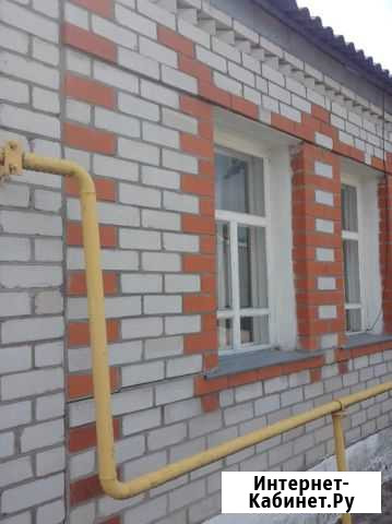 Дом 60 м² на участке 3 сот. на продажу в Лисках Лиски - изображение 1