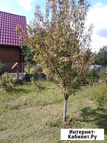 Участок СНТ, ДНП 6 сот. на продажу в Дальнем Константиново Дальнее Константиново - изображение 1