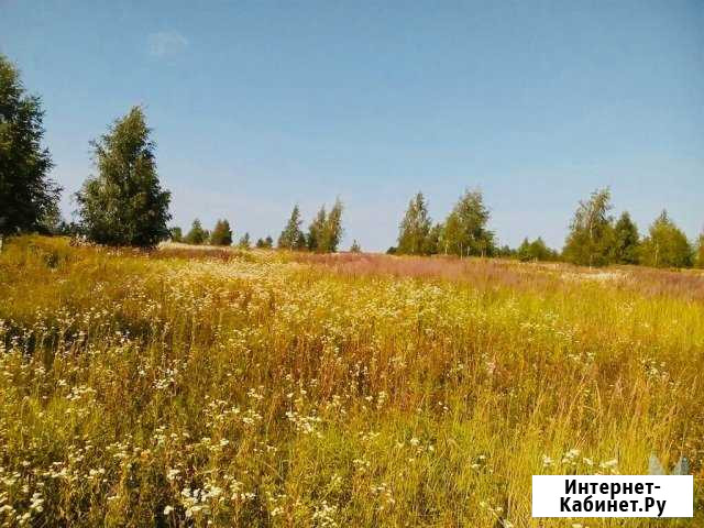Участок СНТ, ДНП 100 сот. на продажу на Лугах Луга - изображение 1