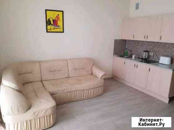 Квартира-студия, 30 м², 11/16 эт. в аренду на длительный срок в Лыткарино Лыткарино