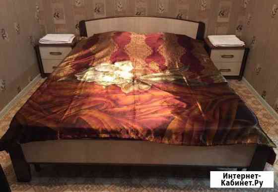 2-комнатная квартира, 44 м², 7/9 эт. в аренду посуточно в Красноярске Красноярск