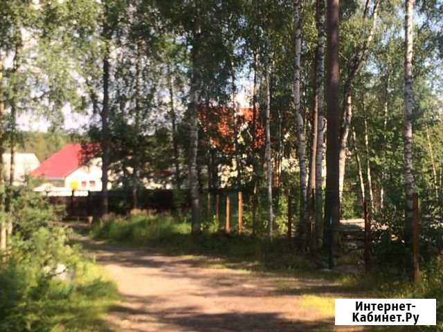 Участок СНТ, ДНП 20 сот. на продажу в Песочном Песочное - изображение 1