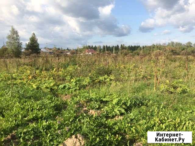 Участок ИЖС 20 сот. на продажу в Кохме Кохма - изображение 1