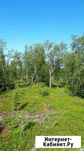 Участок СНТ, ДНП 15 сот. на продажу в Мурманске Мурманск - изображение 1